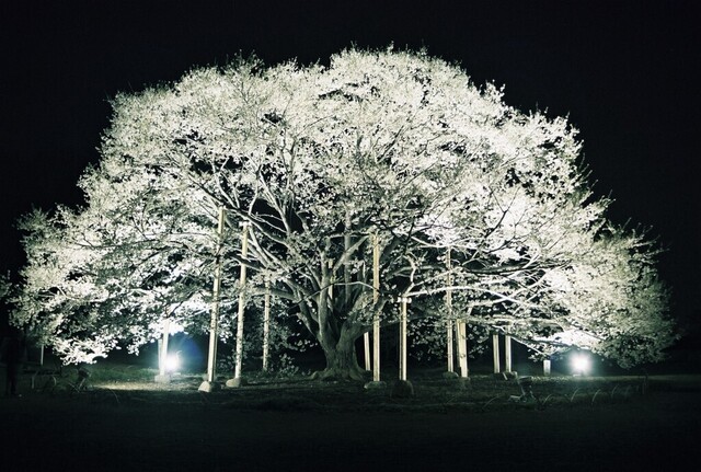 A1_025.JPG