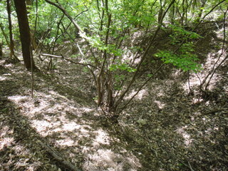 DSC00620.JPG