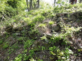 DSC00683.JPG