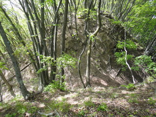 DSC00719.JPG