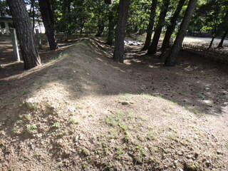 DSC03592.JPG