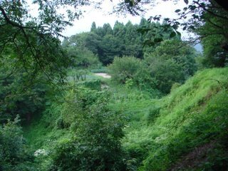 DSC05211.JPG