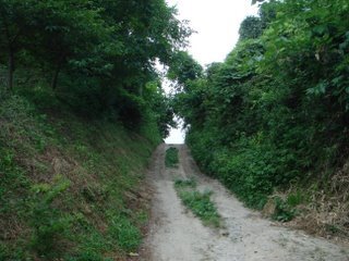 DSC05216.JPG