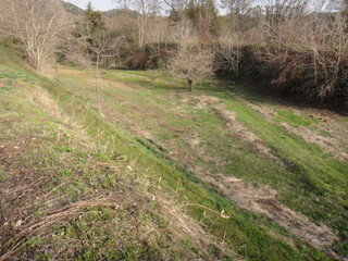 DSC06792.JPG