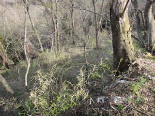 DSC06803.JPG