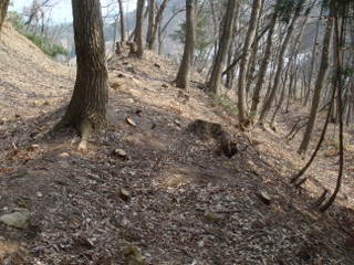DSC07462.JPG