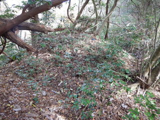 DSCN0390.JPG