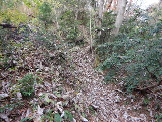 DSCN0463.JPG