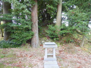 DSCN0490.JPG