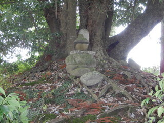 DSCN0491.JPG