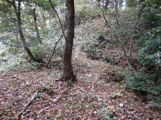 DSCN0520.JPG