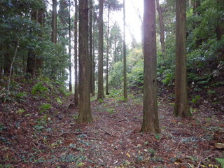 DSCN0736.JPG