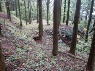DSCN0788.JPG