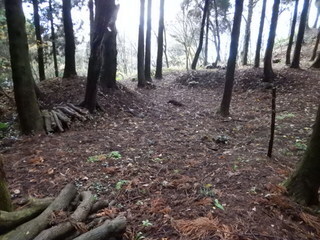 DSCN0823.JPG
