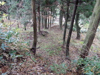 DSCN0875.JPG