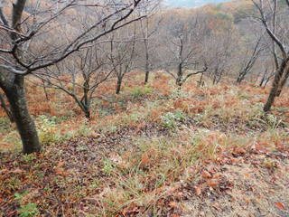 DSCN1065.JPG