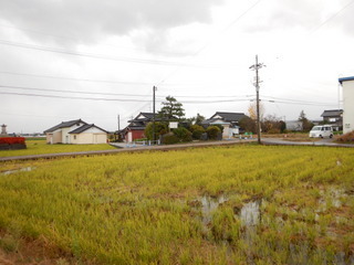 DSCN1447.JPG