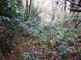 DSCN1490.JPG
