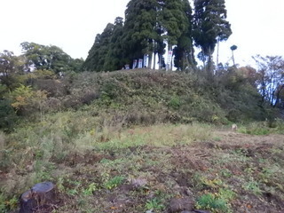 DSCN1603.JPG
