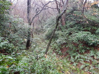 DSCN1676.JPG