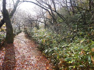 DSCN1853.JPG