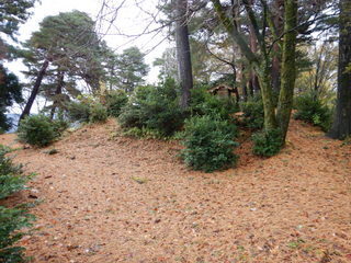 DSCN1952.JPG