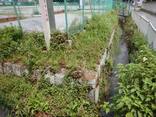 DSCN2006.JPG