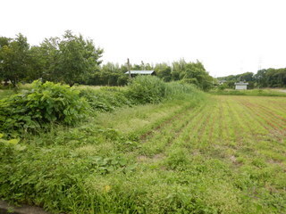 DSCN2088.JPG