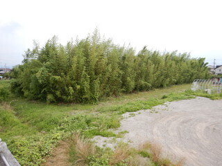DSCN2105.JPG