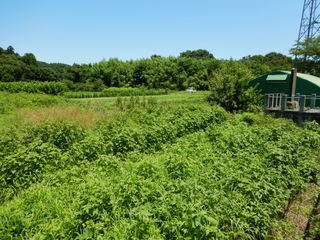 DSCN2366.JPG