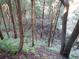 DSCN2390.JPG