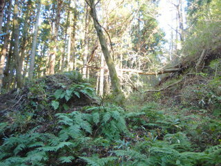 DSCN2442.JPG