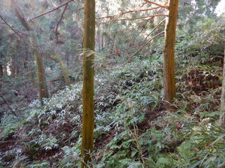 DSCN2473.JPG