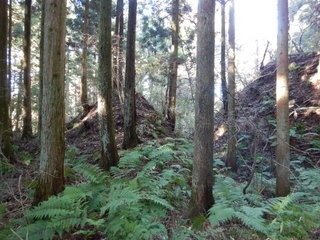 DSCN2530.JPG