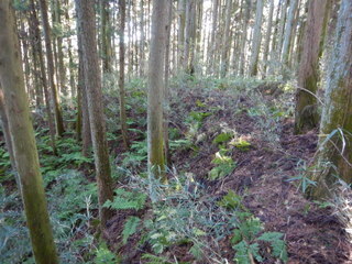 DSCN2563.JPG