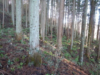 DSCN2668.JPG