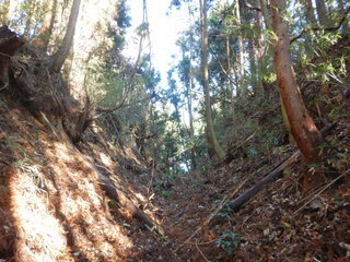 DSCN2752.JPG