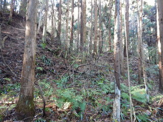 DSCN2785.JPG