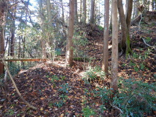 DSCN2867.JPG