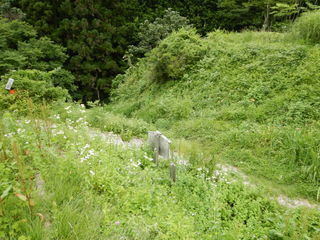 DSCN2920.JPG
