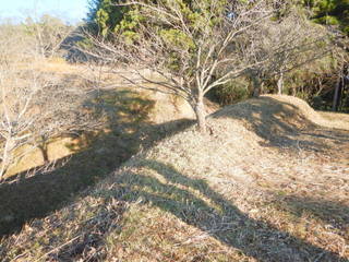 DSCN2948.JPG