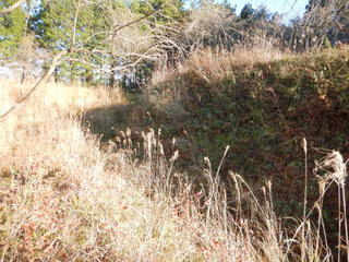DSCN2987.JPG