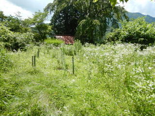 DSCN3087.JPG