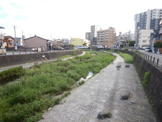 DSCN3525.JPG