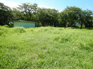 DSCN3584.JPG
