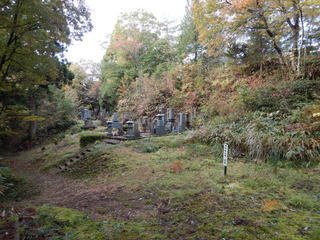 DSCN7115.JPG