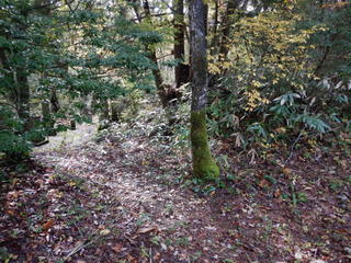 DSCN7124.JPG