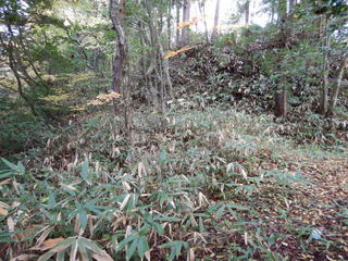 DSCN7166.JPG