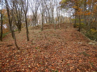 DSCN7229.JPG