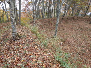 DSCN7241.JPG